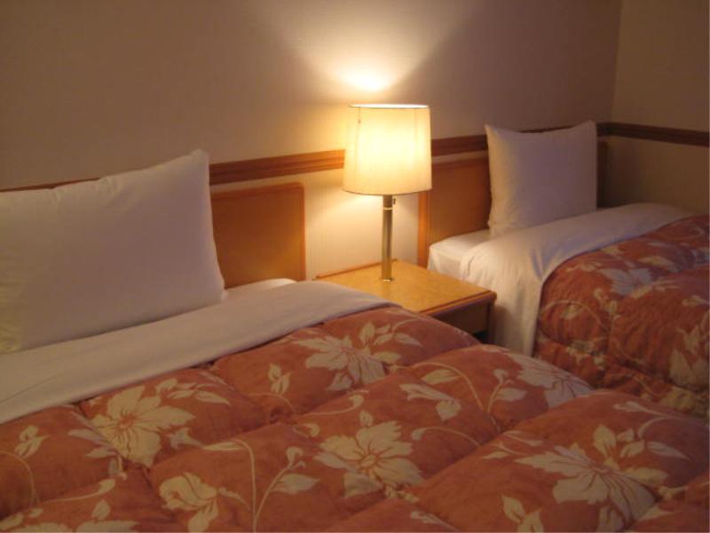 Toyoko Inn Niigata Ekimae Exterior photo
